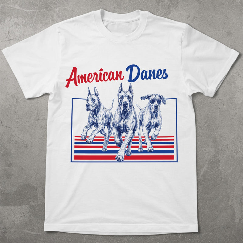 WZ_american_danes_shopify_comfort_colors_1717_flatlay_1_mockup_white