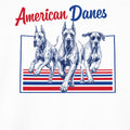 WZ_american_danes_shopify_comfort_colors_1717_fabric_square_white