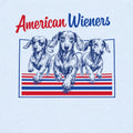 WZ_american_wieners_shopify_comfort_colors_1717_fabric_square_chambray